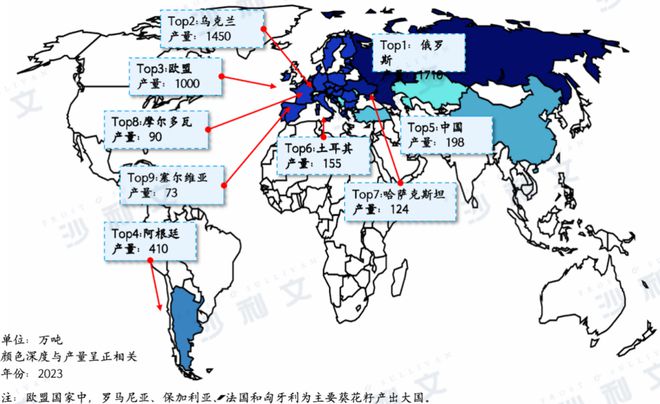 中国瓜子全球领跑头部品牌彰显优势竞争力