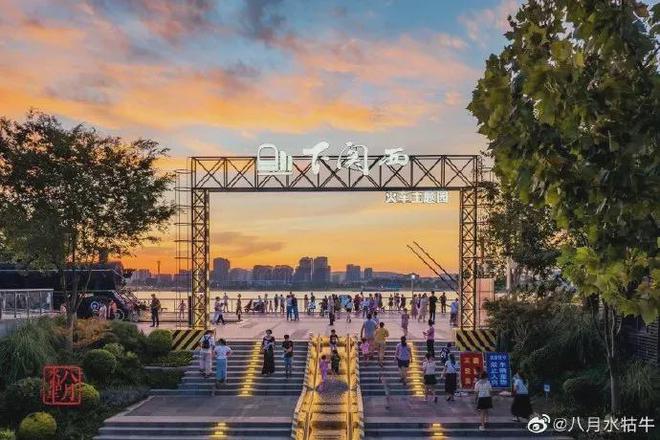 南京马拉松看点多！选手们加油鸭！(图17)