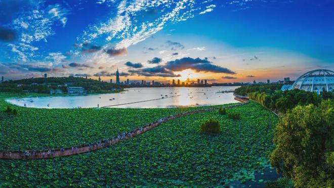 南京马拉松看点多！选手们加油鸭！(图10)