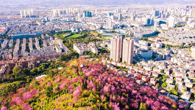 玉溪市哪个区县市最富？玉溪市各区县市经济实力排名(图3)