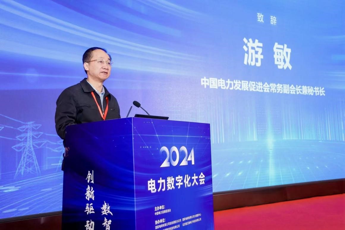 创新驱动 数智引领——中国电力发展促进会“2024电力数字化大会”召开(图3)