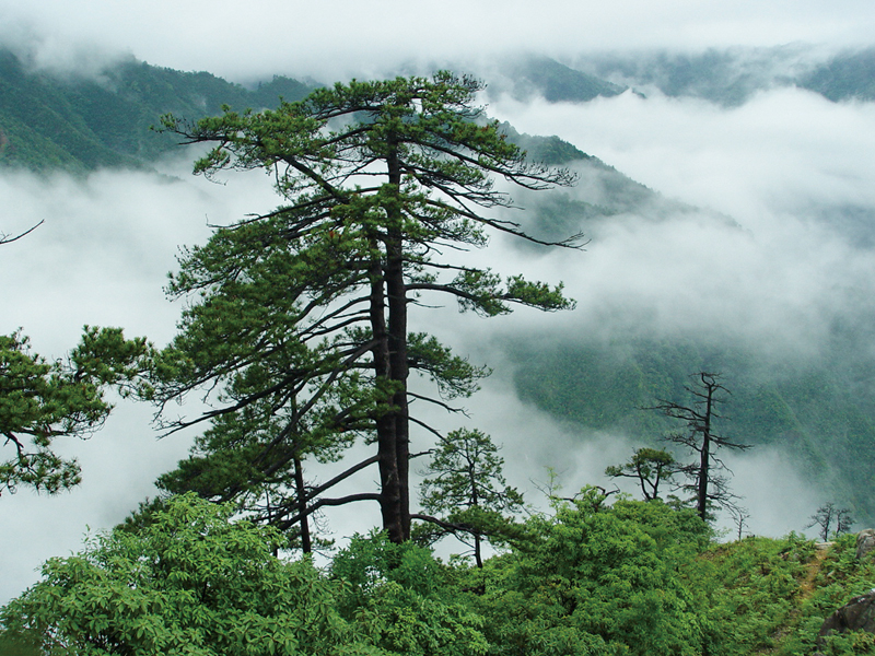 新质生产力与生态价值增值经济学(图3)