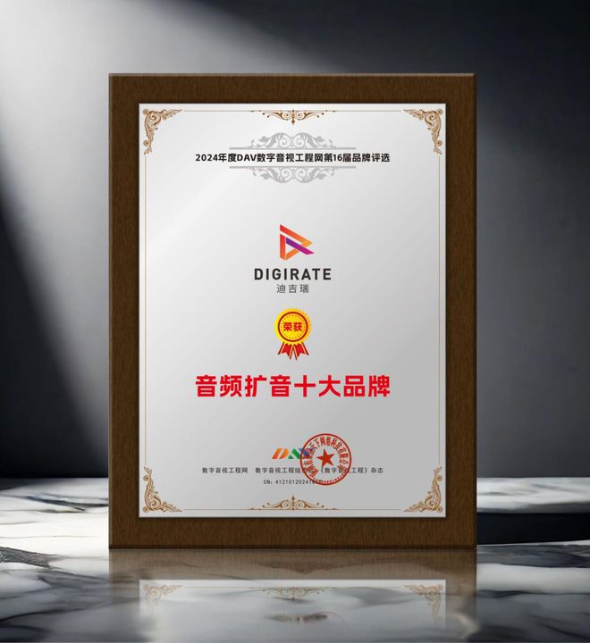 喜讯来袭！ DAV01“2024年度音频扩音十大品牌”名单公布！(图8)