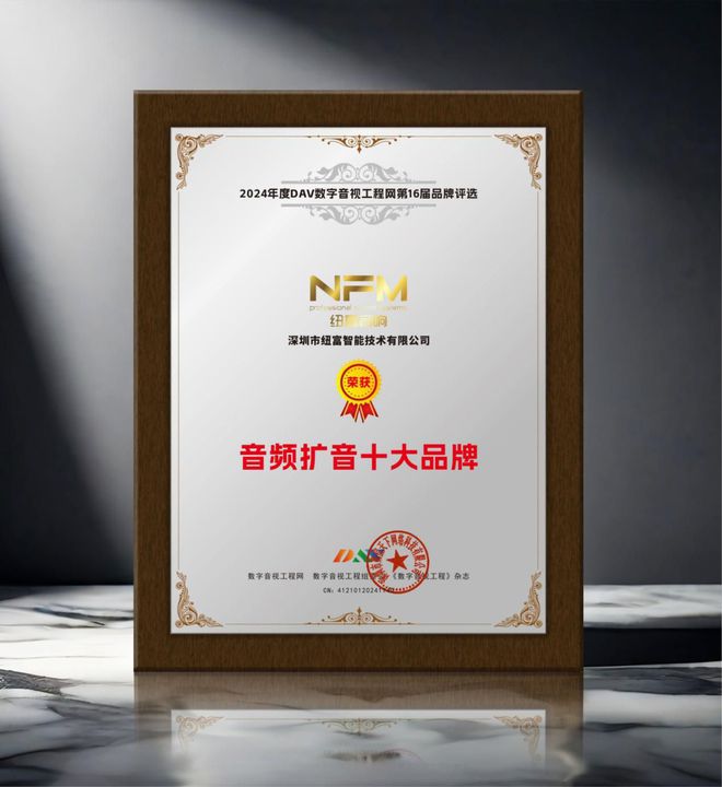 喜讯来袭！ DAV01“2024年度音频扩音十大品牌”名单公布！(图11)