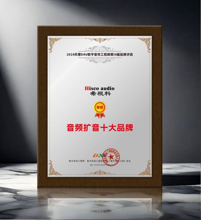 喜讯来袭！ DAV01“2024年度音频扩音十大品牌”名单公布！(图12)
