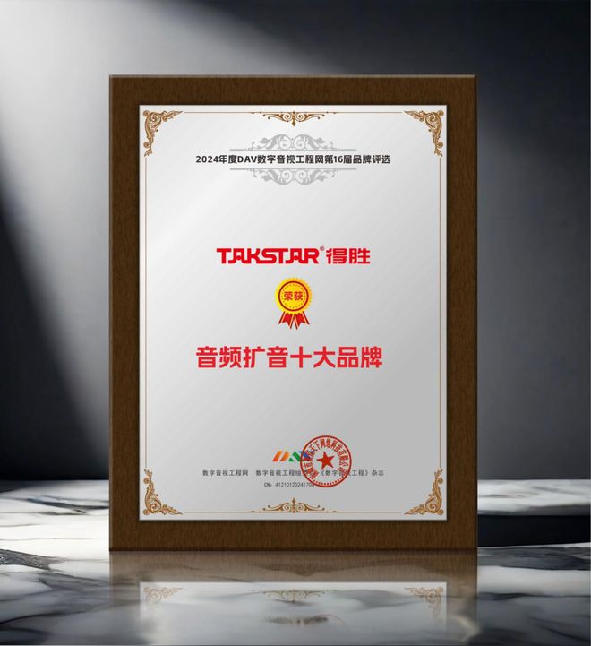 喜讯来袭！ DAV01“2024年度音频扩音十大品牌”名单公布！(图10)