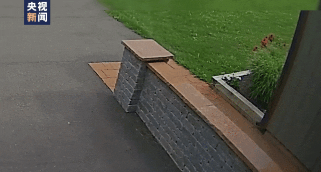 门铃摄像头完整记录或是人类首次