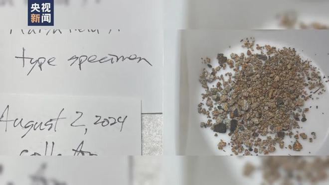 门铃摄像头完整记录或是人类首次(图2)