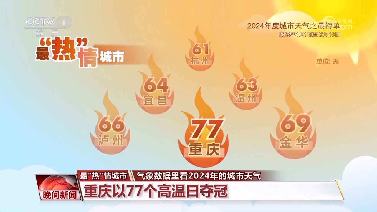 气象数据里看2024年的城市天气