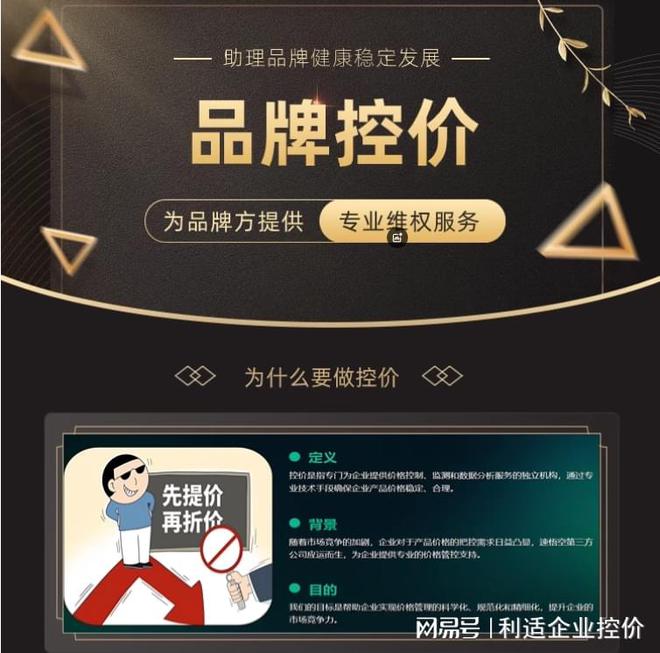 2025 控价新局：揭秘脱颖而出的优质控价公司