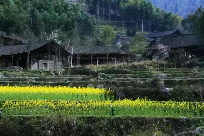 重庆酉阳发现4大传统村落土家苗寨风情独特引关注。(图6)
