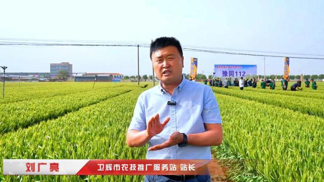 高产抗逆“豫同112”：国审小麦新品种观摩品鉴会成果丰硕(图1)