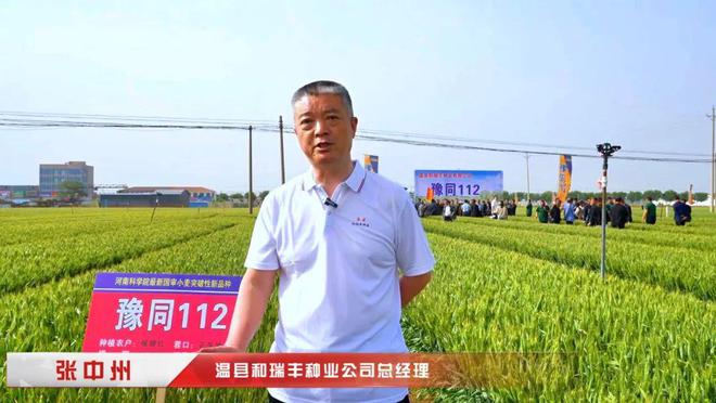 高产抗逆“豫同112”：国审小麦新品种观摩品鉴会成果丰硕(图3)