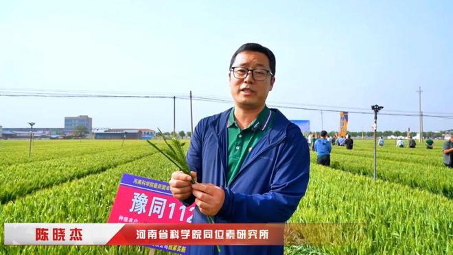 高产抗逆“豫同112”：国审小麦新品种观摩品鉴会成果丰硕(图2)