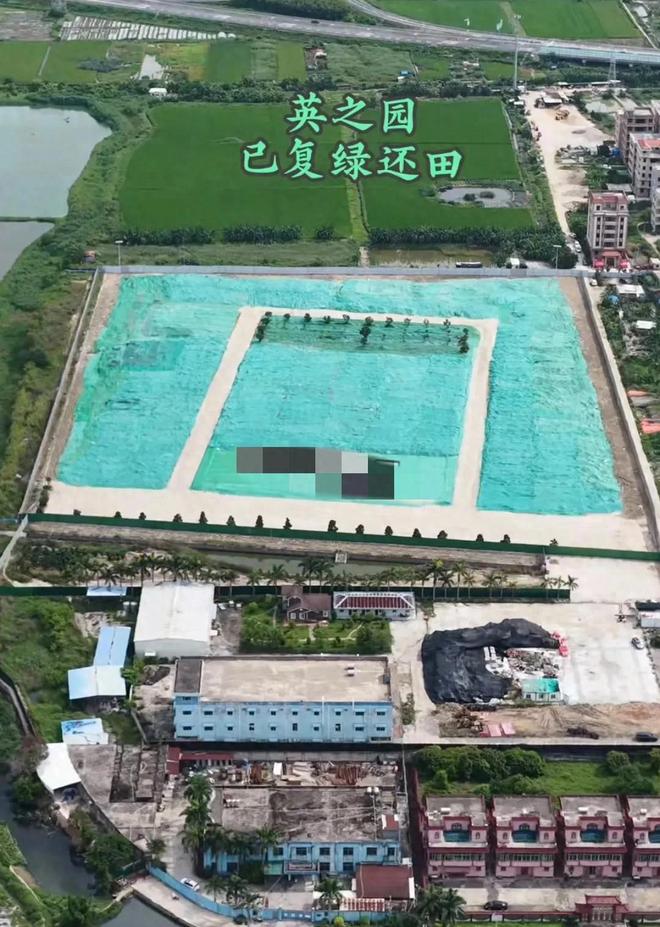 英之园已复绿还田涉事干部被问责下一步规划曝光当地再回应(图1)