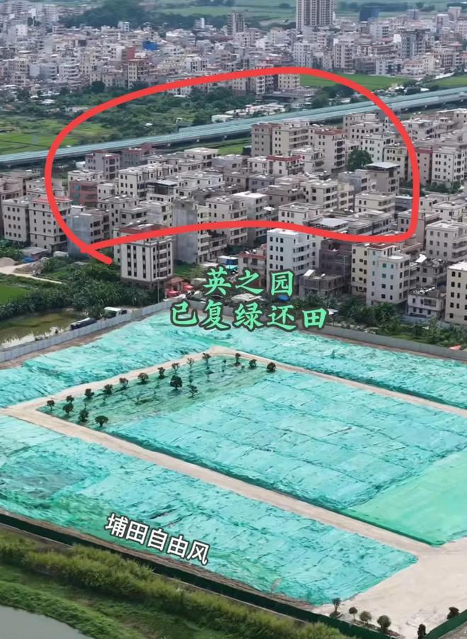 英之园已复绿还田涉事干部被问责下一步规划曝光当地再回应(图6)