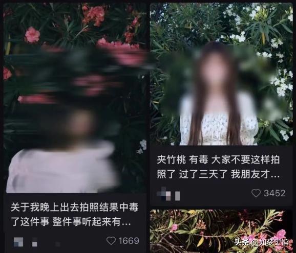 200多人发烧住院后续：提拉米苏里放“夹竹桃”商家已被立案(图11)
