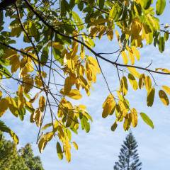 哪个品牌专业做门铃好(图5)