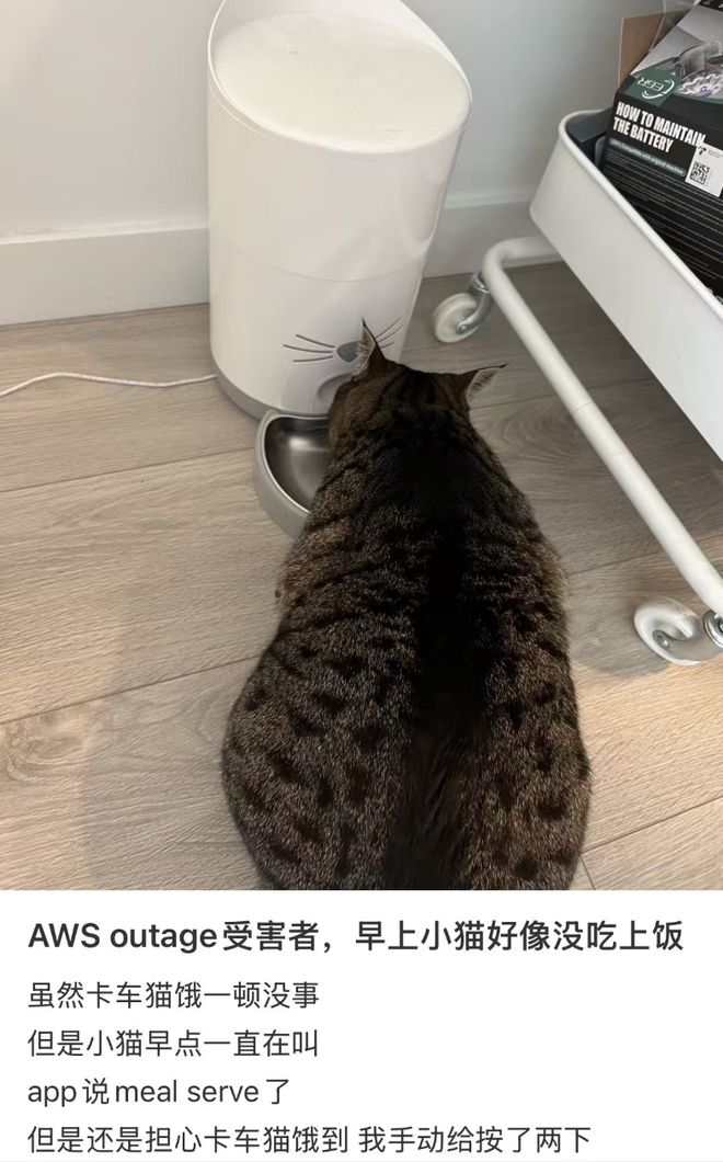 亚马逊云服务宕机我家的猫饿了整整一天