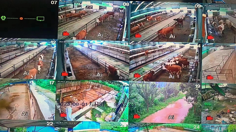 安顺职院：数字赋能启新程 智慧育人谱华章(图5)