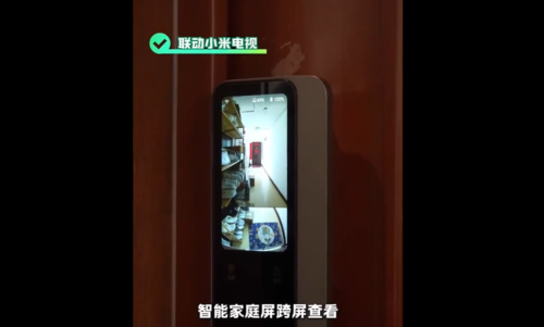 曾被吐槽“智障”的AI智能锁快被年轻人玩坏了(图11)