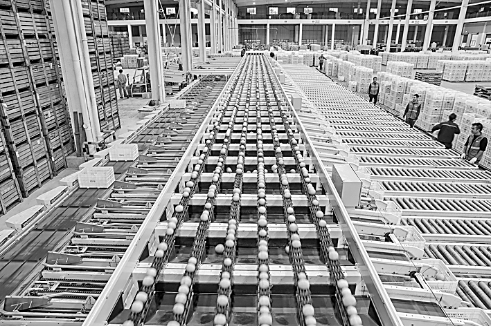 新场景激发经济新活力