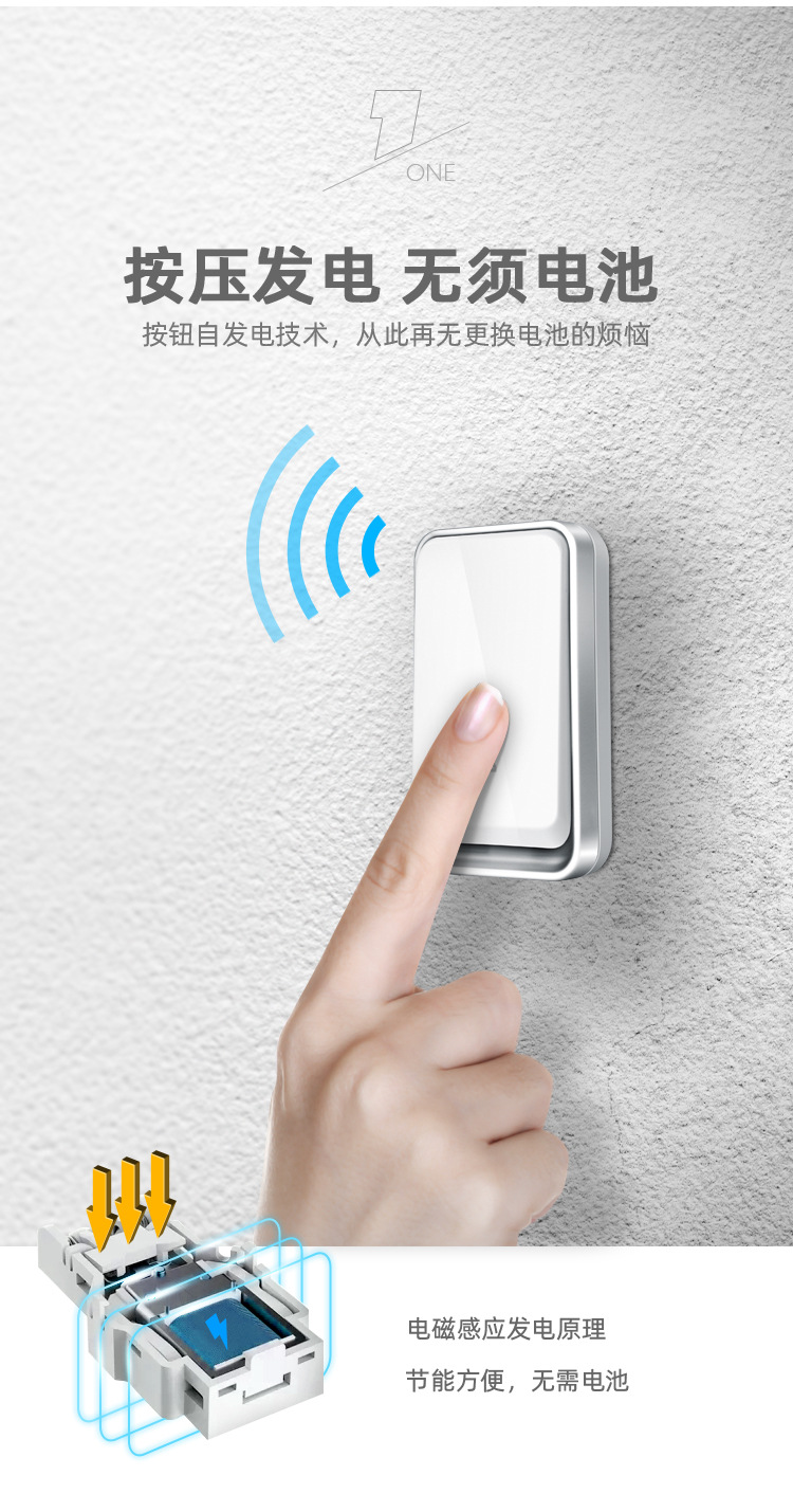 冬游昆明赴一场海鸥之约